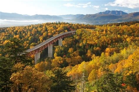 What to do in Autumn Season Hokkaido in October!