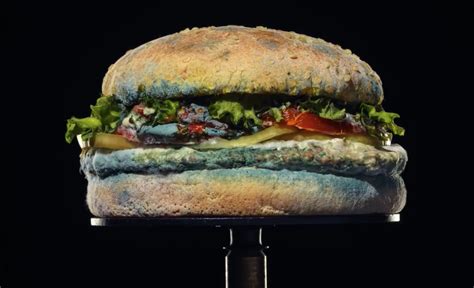 Whopper or Flopper? A review of Burger King’s controversial new campaign | Advertising Testing