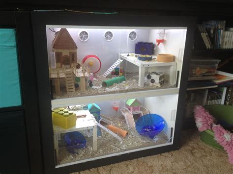 Make an Amazing Ikea Hamster Cage - | Hamster cages, Hamster diy, Hamster cage