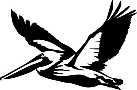 Pelican Silhouette at GetDrawings | Free download