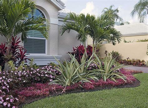 front yard design with palm trees