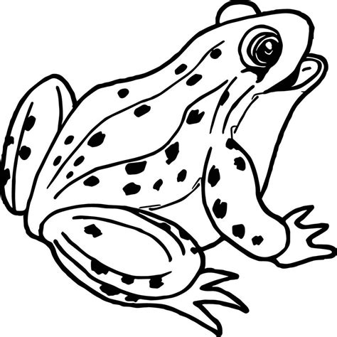 Frog Coloring Pages | coloring.rocks! Frog Coloring Pages, Animal ...