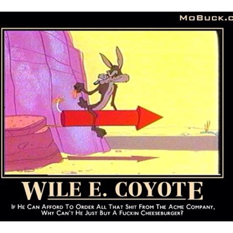 Wile E. Coyote Paradox | Very demotivational, Funny pictures, Humor