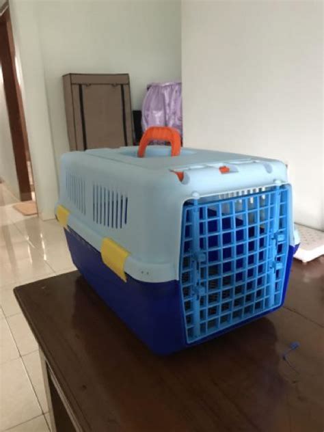 Kandang Kucing Kelinci Musang Landak ( Pet Cargo ) | Shopee Indonesia