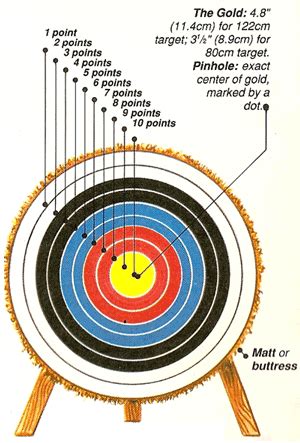 Archery Targets on Pinterest | Arrows, Shooting Targets and Archery Bows