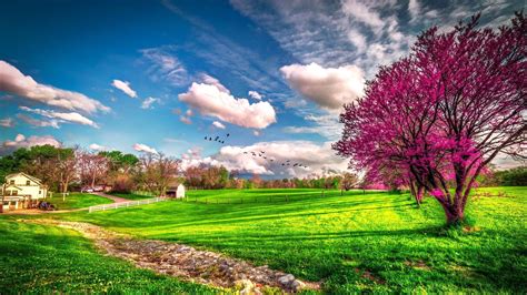 Landscape beautiful spring nature -. Spring Wallpapers. Seasons Wallpapers. download beautiful ...