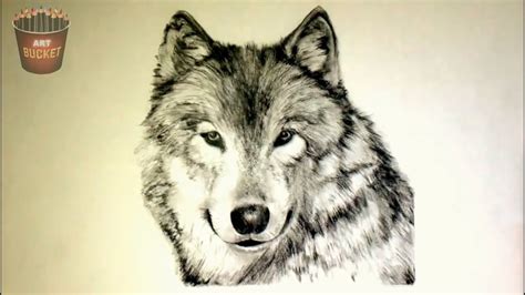 7 CUTE and REALISTIC Animals Drawings - YouTube