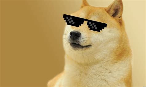 Doge Meme Wallpapers - Wallpaper Cave