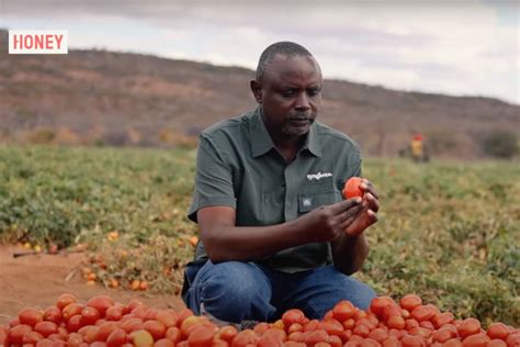 Here’s what you can expect in African Farming – African Farming