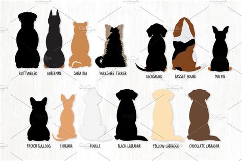 Sitting Dog Breeds - From Behind | Dog drawing, Dog silhouette, Girl ...