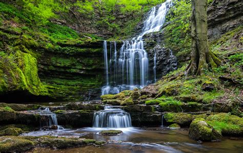 Waterfalls and moss, waterfall, nature, forest HD wallpaper | Wallpaper Flare