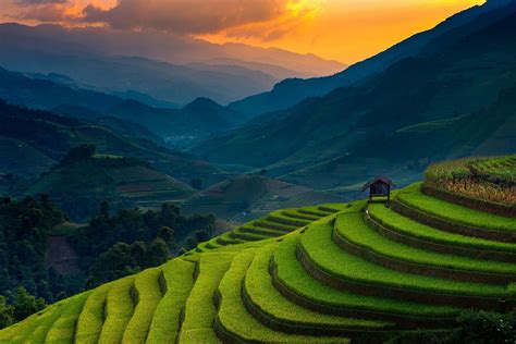 landscape Nature Rice Paddy Terraces Mountain Sunset Field in 2019 | Field wallpaper, Landscape ...