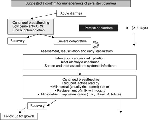 The algorithm for managements of chronic diarrhea. ORS: oral... | Download Scientific Diagram