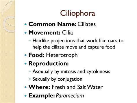 The Kingdom Protista Chapter ppt download