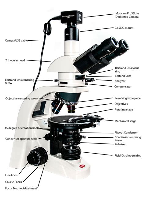 Polarization Microscopy The Motic BA310 Polarizing Microscope a Review - The Canadian Nature ...