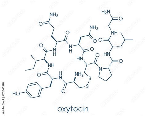 Oxytocin hormone molecule. Skeletal formula. Stock Vector | Adobe Stock