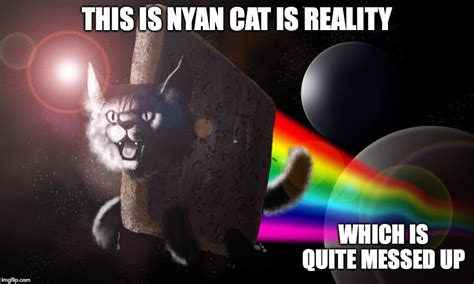 Real Nyan Cat - Imgflip