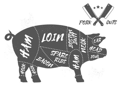 Pig Butcher Chart Illustrations, Royalty-Free Vector Graphics & Clip ...