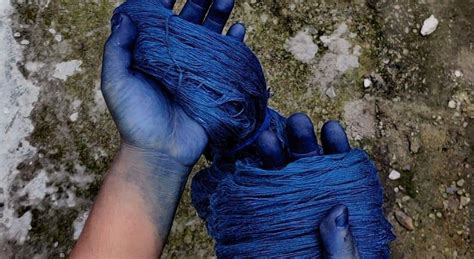 Indigo Yarn Dyeing Process | Dyeing Silk with Natural Indigo | Muezart