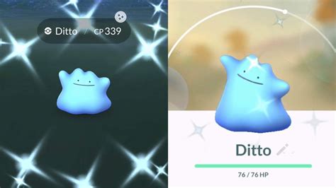 Shiny ditto pokemon go - merchantfiln