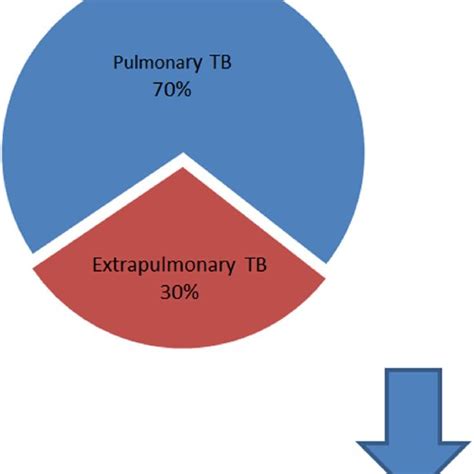 Distrubution of tuberculosis cases. | Download Scientific Diagram