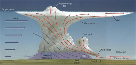 Convective Clouds – WeatherTogether