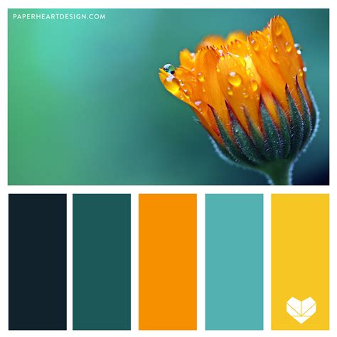 Color Palette: Terrific Teal — Paper Heart Design