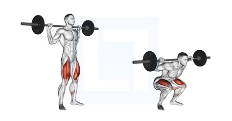 Barbell Full Squat - Guide, Benefits, and Form