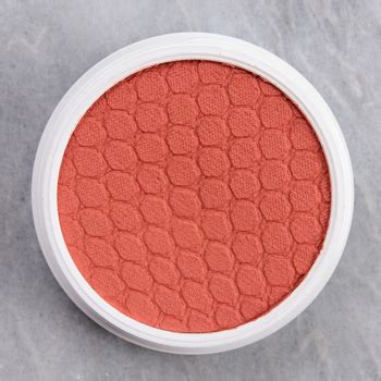 Best Coral Blushes Under $20