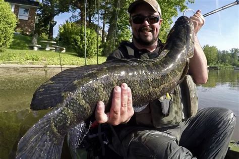 Most exciting freshwater fish on the east coast! : r/kayakfishing