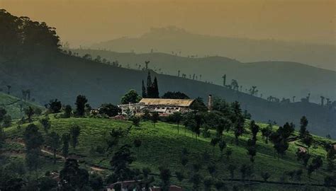 Valparai Trekking Lets You Embrace Nature's Serenity