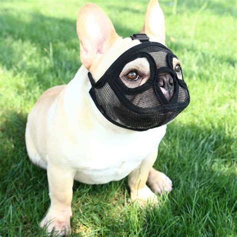 Buy IBLUELOVER Adjustable Bulldog Pug Muzzles Short Snout Dog Muzzle Breathable Mesh Eye Holes ...