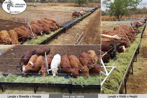 Cattle feeding troughs Feeding systems Livestock for sale in North West ...