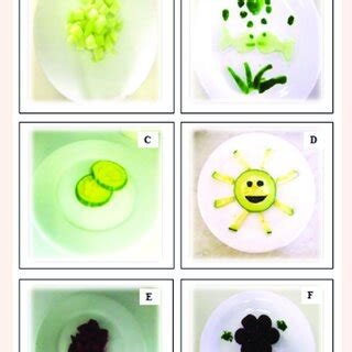 Use of the gastronomic techniques in vegetables. A) Chayote cubes; B)... | Download Scientific ...