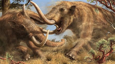 This Newly Discovered Mastodon Species Roamed California for Millions of Years