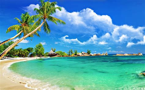 Tropical Beach Screensavers and Wallpaper - WallpaperSafari