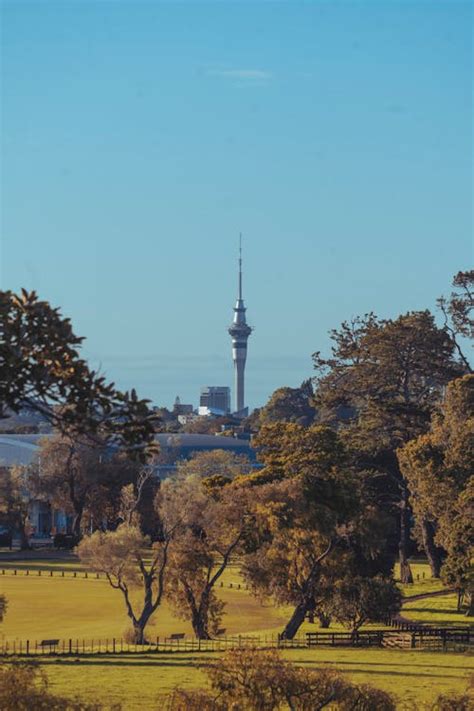 Auckland Sky Tower Photos, Download The BEST Free Auckland Sky Tower Stock Photos & HD Images