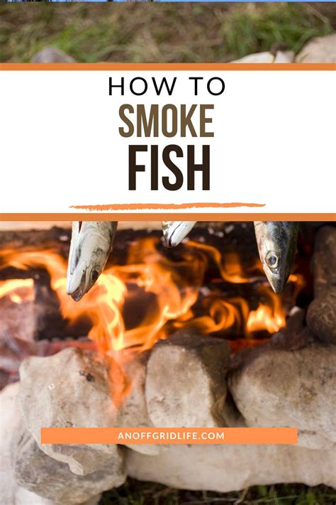 How To Smoke Fish | An Off Grid Life