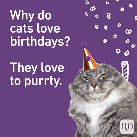 74 Best Birthday Puns for 2022 — Hilarious Happy Birthday Puns