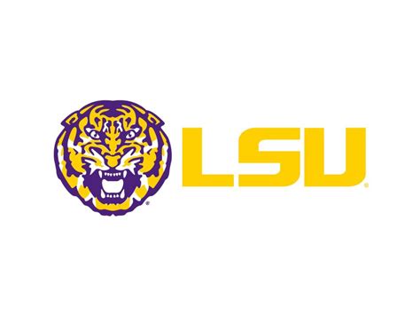 Lsu Tigers Football Record 2024 - Cati Ramona