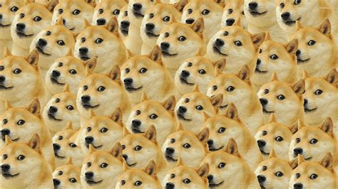 🔥 [50+] Doge Meme Wallpapers | WallpaperSafari