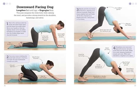 How to do Downward Facing Dog | Downward facing dog, Yoga, Workout