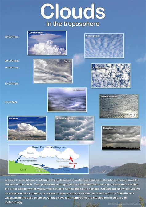 Types Of Clouds