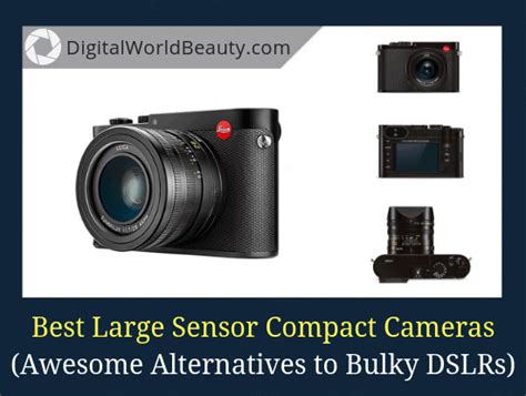 5 Best Large Sensor Premium Compact Cameras 2024 (Reviews)