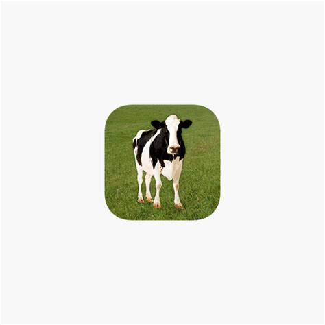 Cow Moo Soundboard - All About Cow Photos