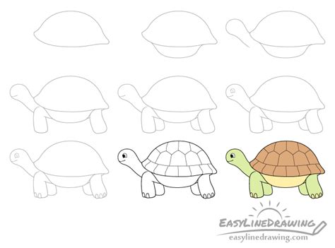 How to Draw a Tortoise Step by Step - EasyLineDrawing