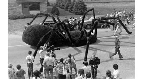 THE GIANT SPIDER INVASION – The Blu Review – We Are Movie Geeks