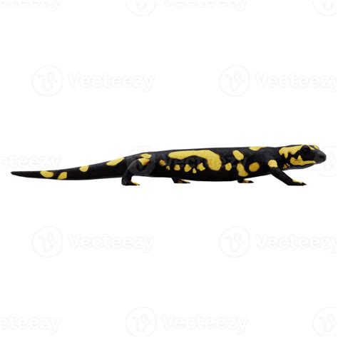 Free Fire Salamander isolated 18875897 PNG with Transparent Background