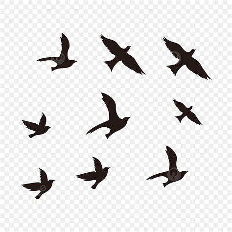 Black Birds Flying Silhouette Transparent Background, Black Flying Bird Silhouette, Bird, Fly ...