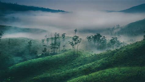 10 Best Hill Stations Near Munnar To Plan A Trip In 2023